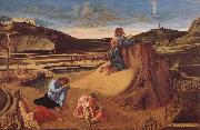 Giovanni Bellini Christ in Gethsemane china oil painting artist
